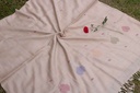 Swati Khaddi Embroidered Wool Shawl