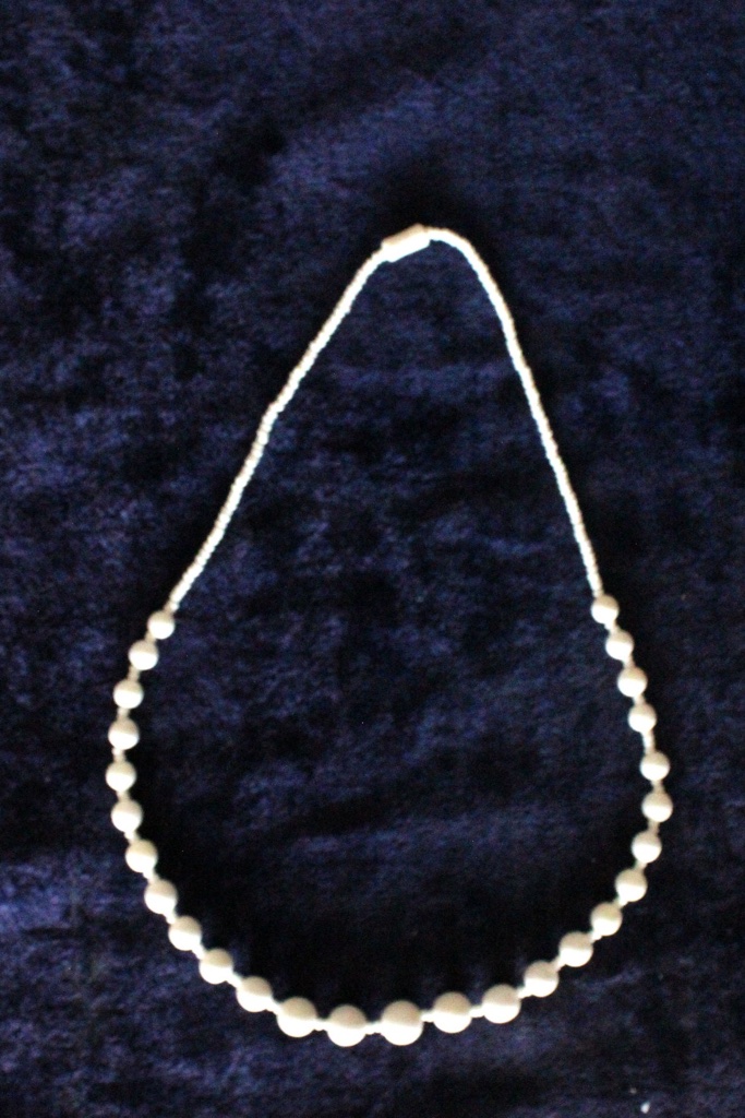 Camelbone Necklace IMG # 5540
