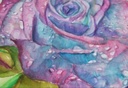 Dewdrop Violet IMG # 1