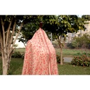 Hand Weaved Pure Kashmiri Kani Shawl