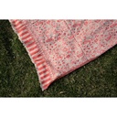 Kaani Border Shawl (copy)
