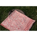 Kaani Border Shawl (copy)