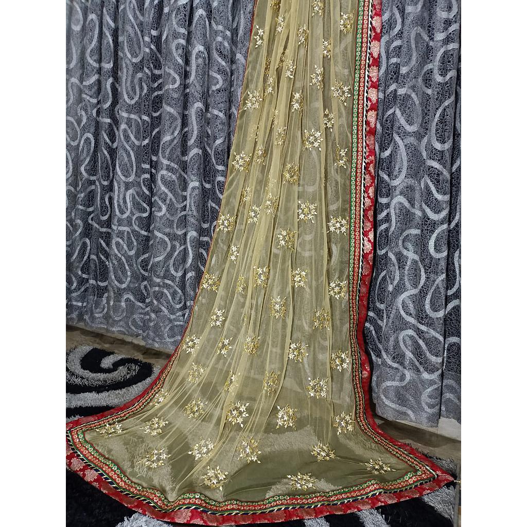 Beautiful Dupatta for formal use