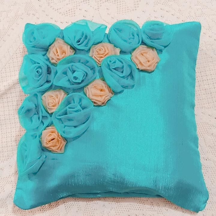 Cushion