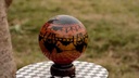 Camel Skin Lamp