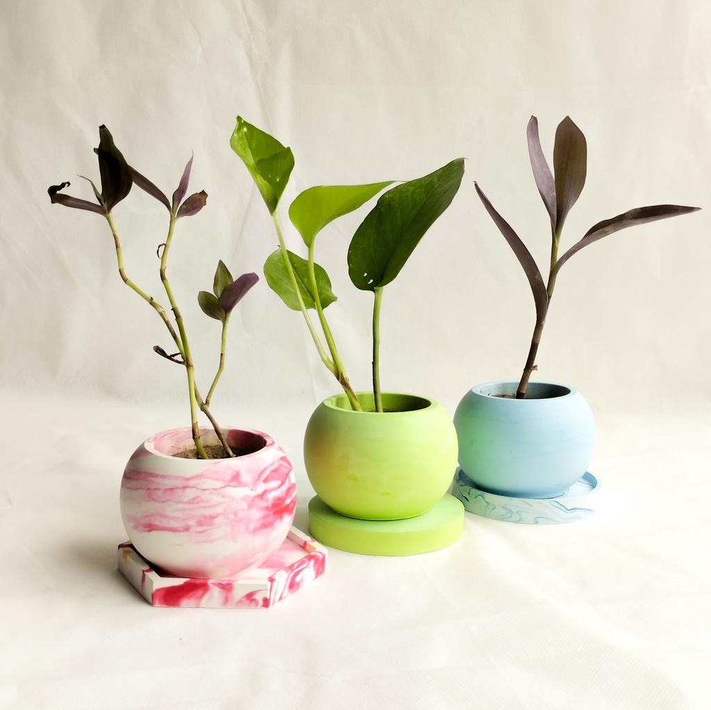 3 Planters Set with Coaster
