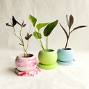 3 Planters Set with Coaster