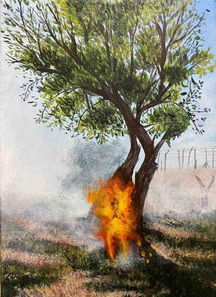 The Olive Tree Burns
