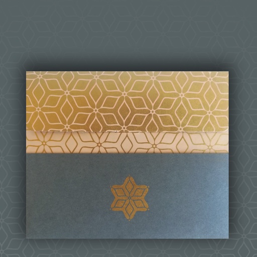 [PK3300-MR-GEN-010408] Long Money Envelopes