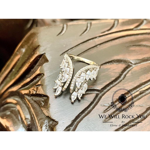 [PK3263-JW-GEN-010664] Angel Wings