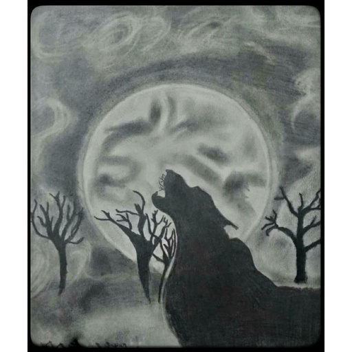 [PK4171-AR-PNC-013425] Werewolves Sketch