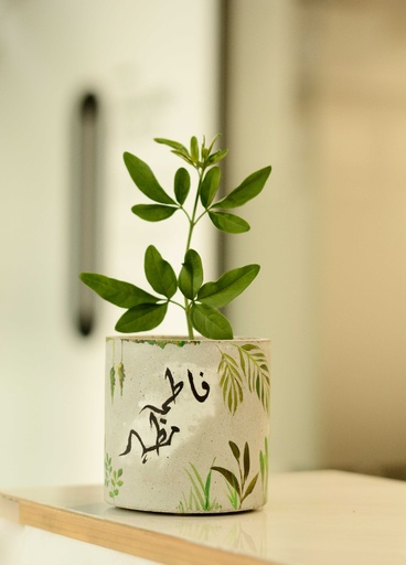 [PK0849-HM-PLN-026976] Customizable Cylindrical Concrete Planter